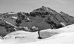 Zoommando in bianco e nero.......